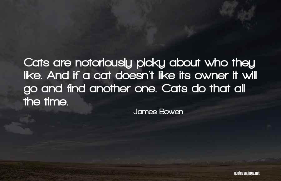 Starstuff Song Quotes By James Bowen Starstuff Song Quotes By James Bowen