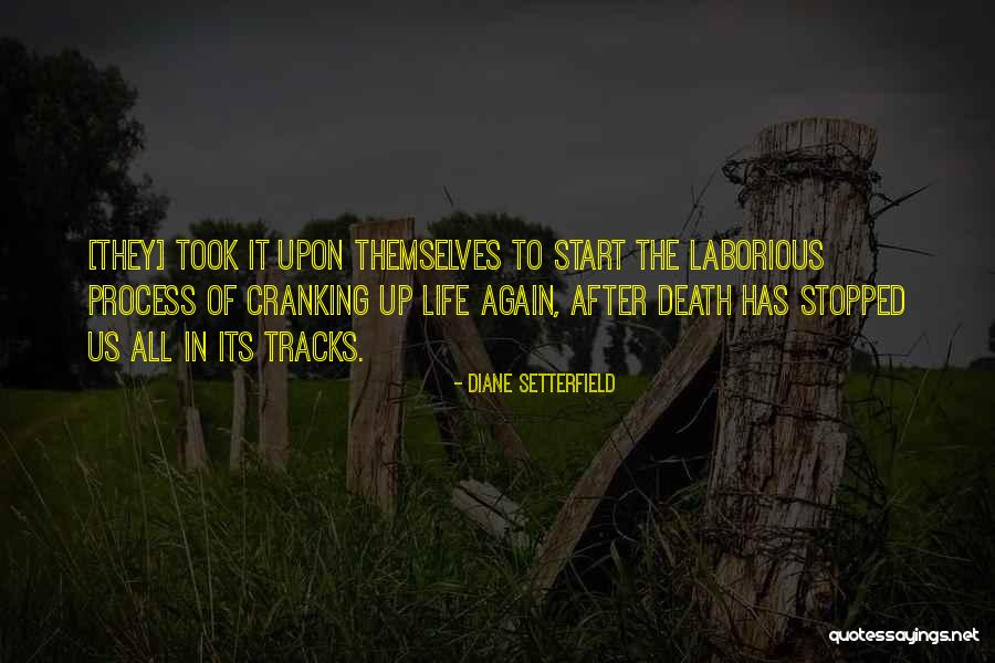 Start Life Again Quotes By Diane Setterfield Start Life Again Quotes By Diane Setterfield