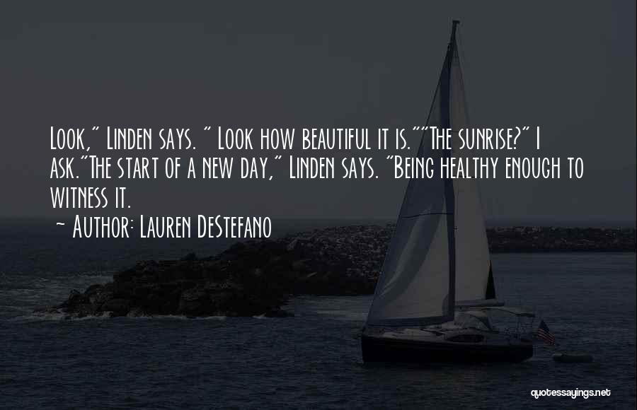 Start New Day Quotes By Lauren DeStefano