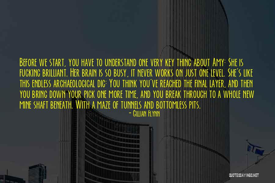 Start New Thing Quotes By Gillian Flynn