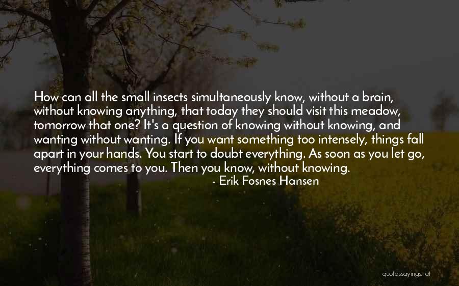 Start Of Fall Quotes By Erik Fosnes Hansen Start Of Fall Quotes By Erik Fosnes Hansen