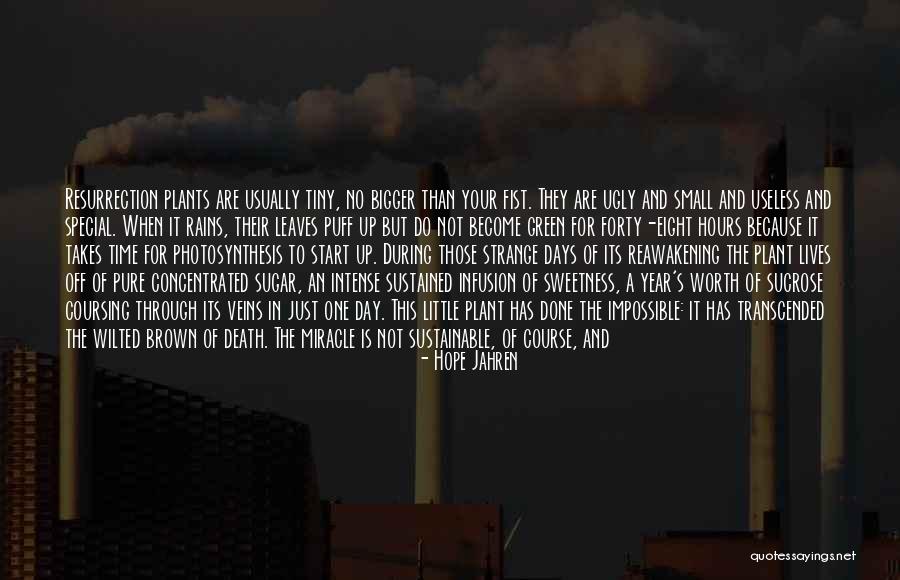Start Off The Day Quotes By Hope Jahren Start Off The Day Quotes By Hope Jahren