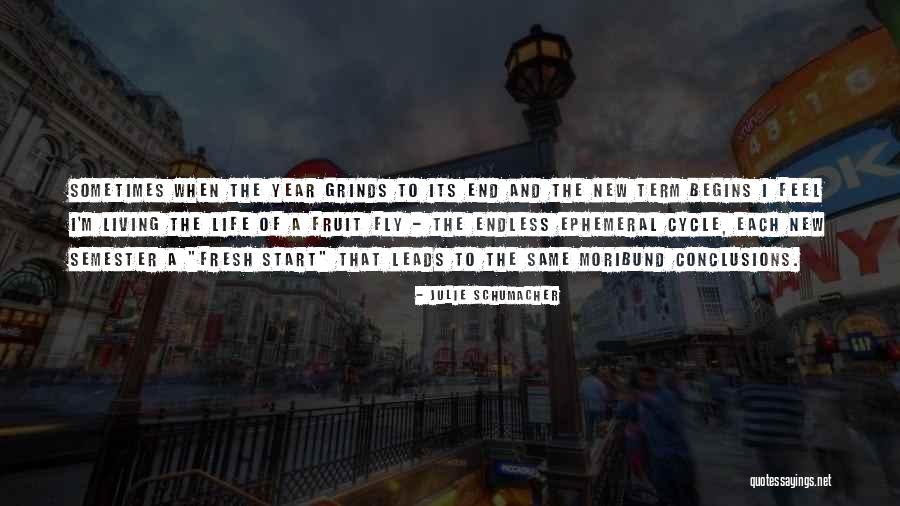 Start To A New Year Quotes By Julie Schumacher