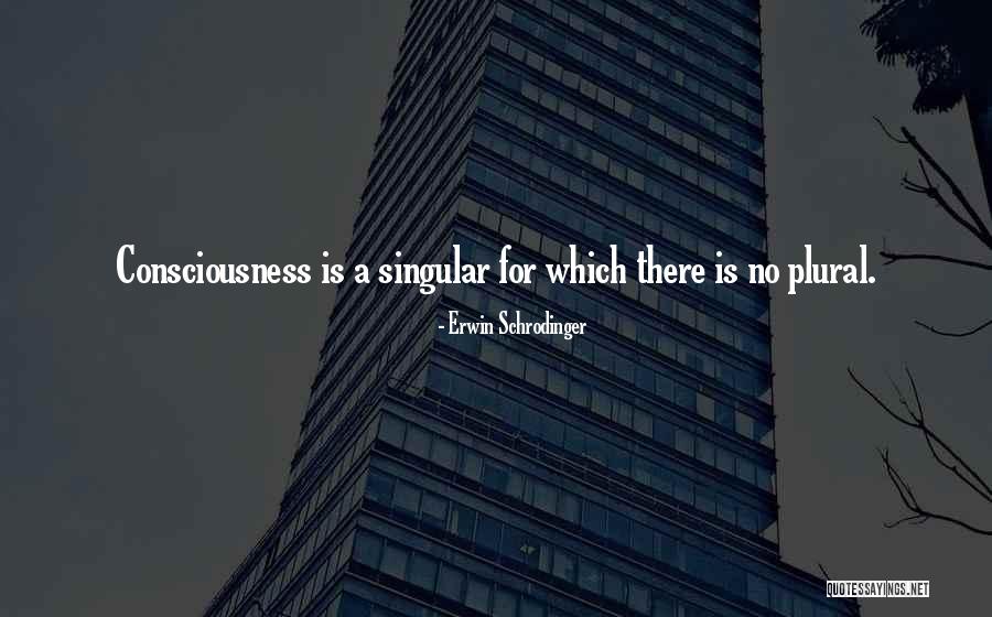 Started And Completed Quotes By Erwin Schrodinger Started And Completed Quotes By Erwin Schrodinger