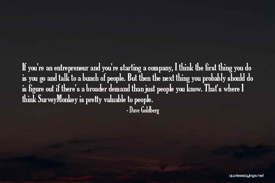 Starting A Company Quotes By Dave Goldberg