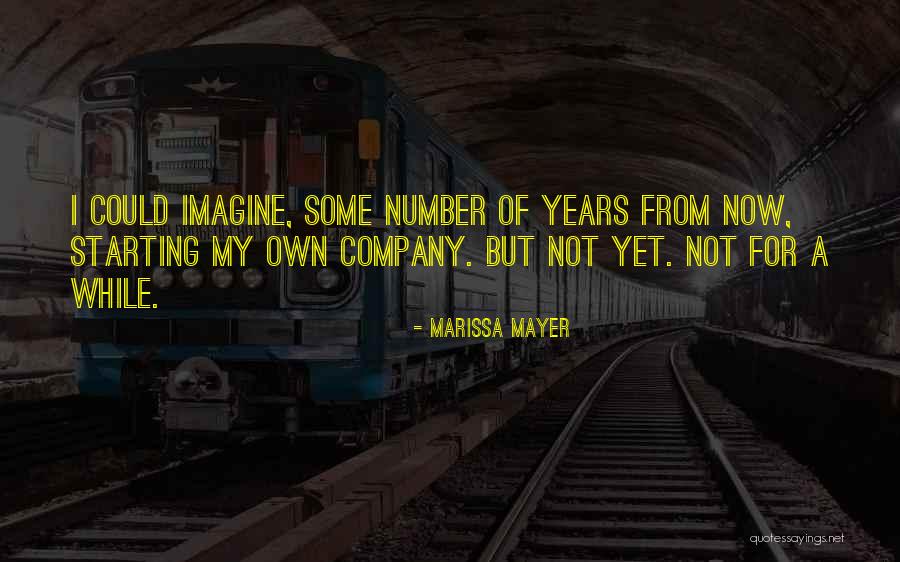 Starting A Company Quotes By Marissa Mayer