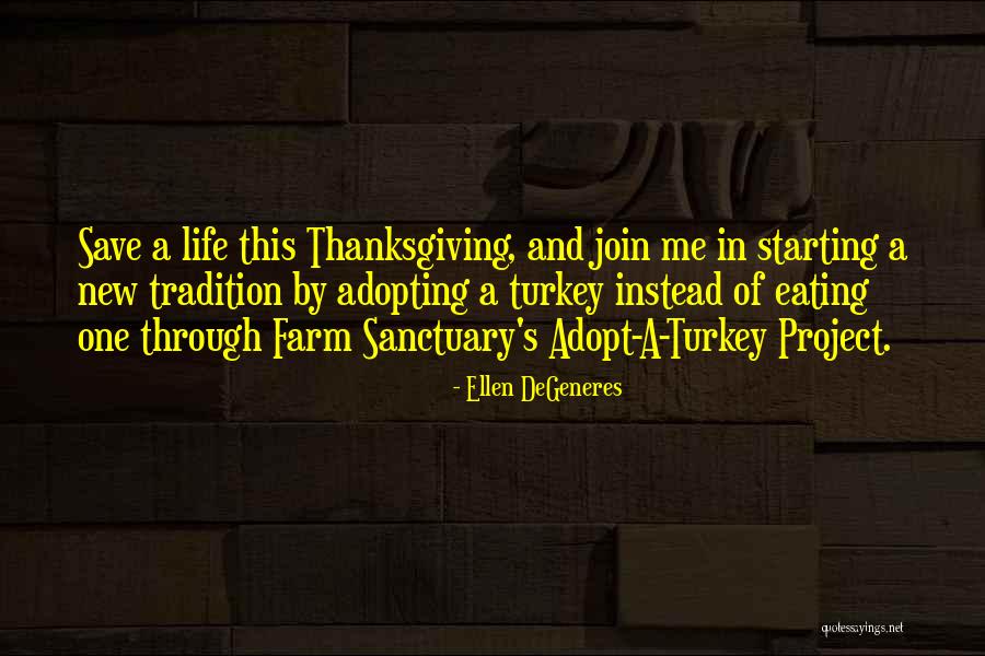Starting A New Project Quotes By Ellen DeGeneres Starting A New Project Quotes By Ellen DeGeneres