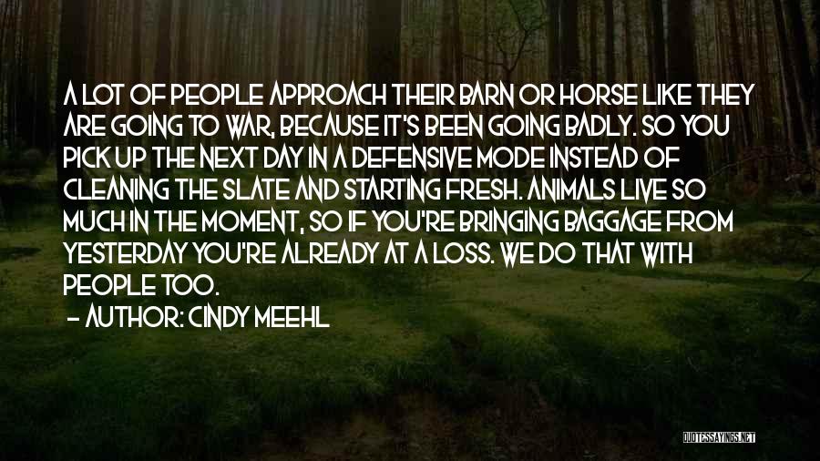 Starting Fresh Quotes By Cindy Meehl