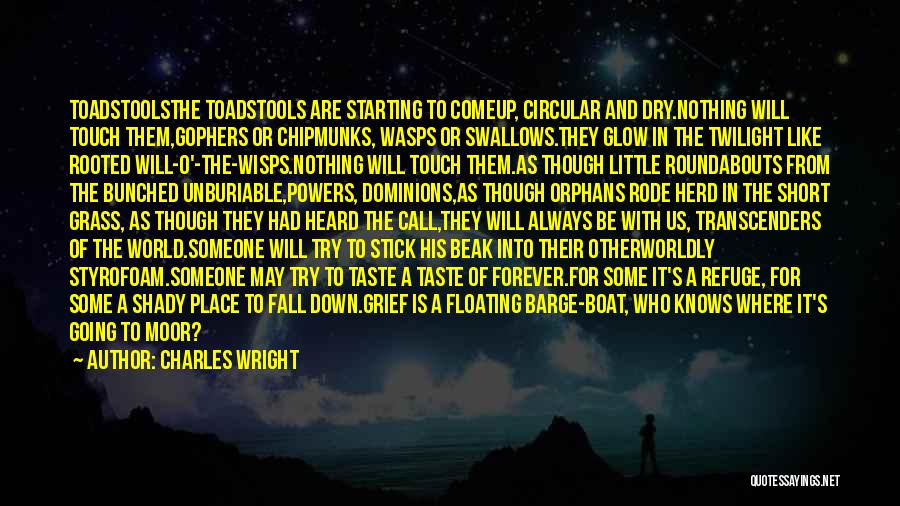 Starting From Nothing Quotes By Charles Wright