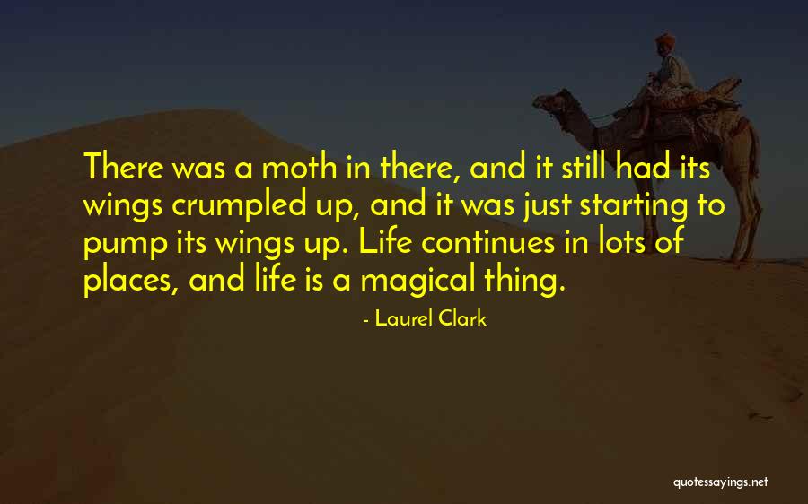 Starting Life Quotes By Laurel Clark Starting Life Quotes By Laurel Clark