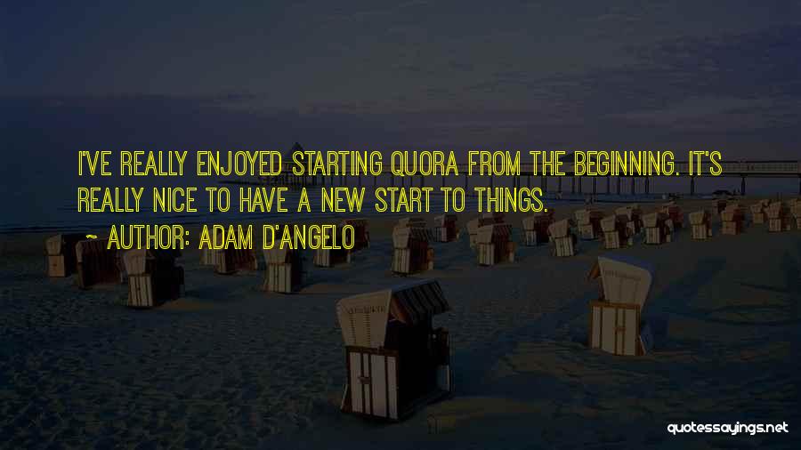 Starting New Things Quotes By Adam D'Angelo