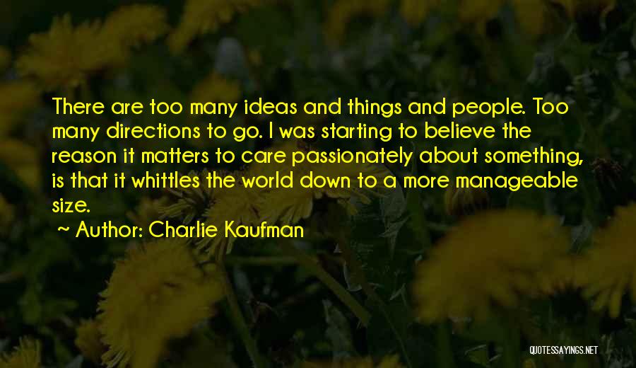 Starting Not Care Quotes By Charlie Kaufman