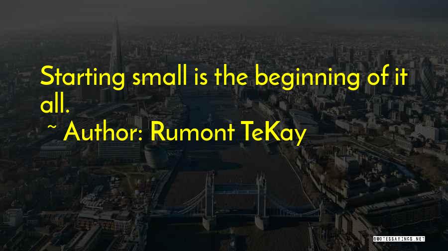 Starting Out Small Quotes By Rumont TeKay