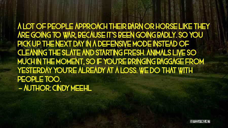 Starting The Day Quotes By Cindy Meehl