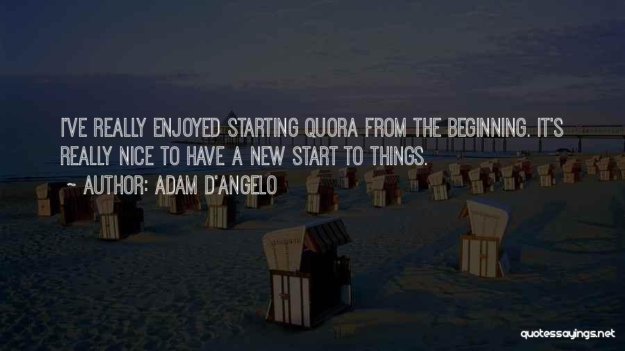 Starting Things Quotes By Adam D'Angelo