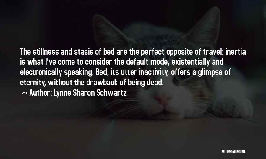 Stasis Quotes By Lynne Sharon Schwartz