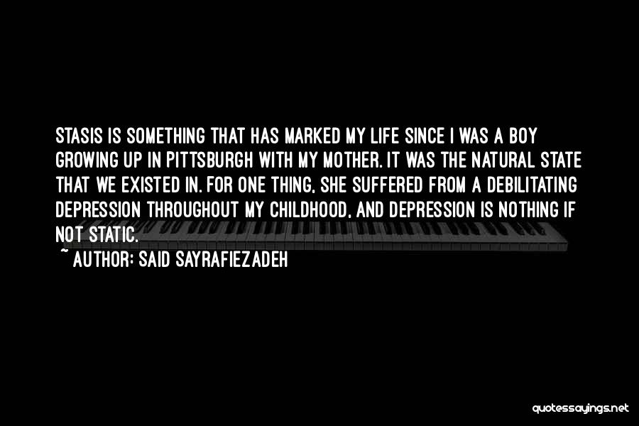 Stasis Quotes By Said Sayrafiezadeh