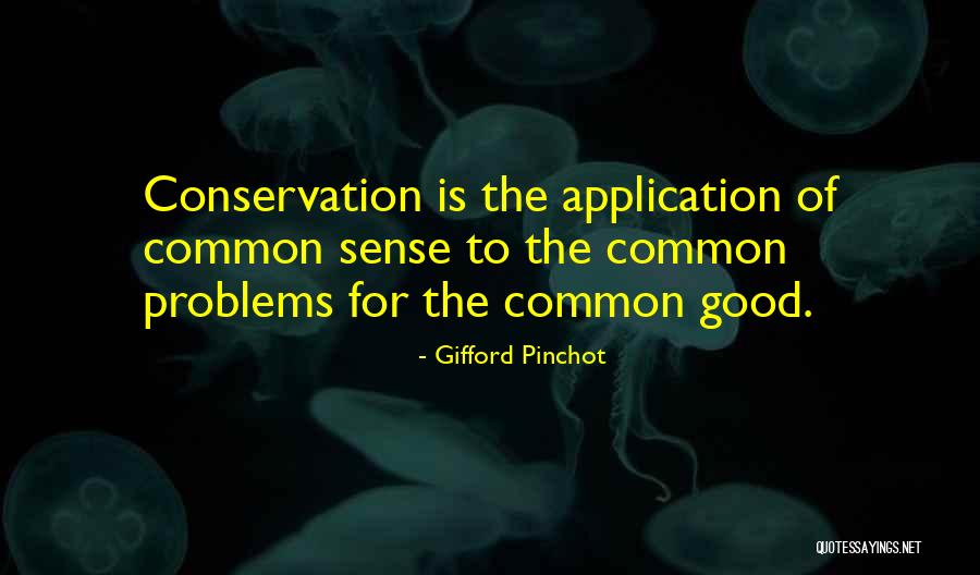 Stata Display Double Quotes By Gifford Pinchot Stata Display Double Quotes By Gifford Pinchot