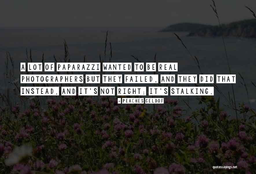 Statastics Quotes By Peaches Geldof Statastics Quotes By Peaches Geldof