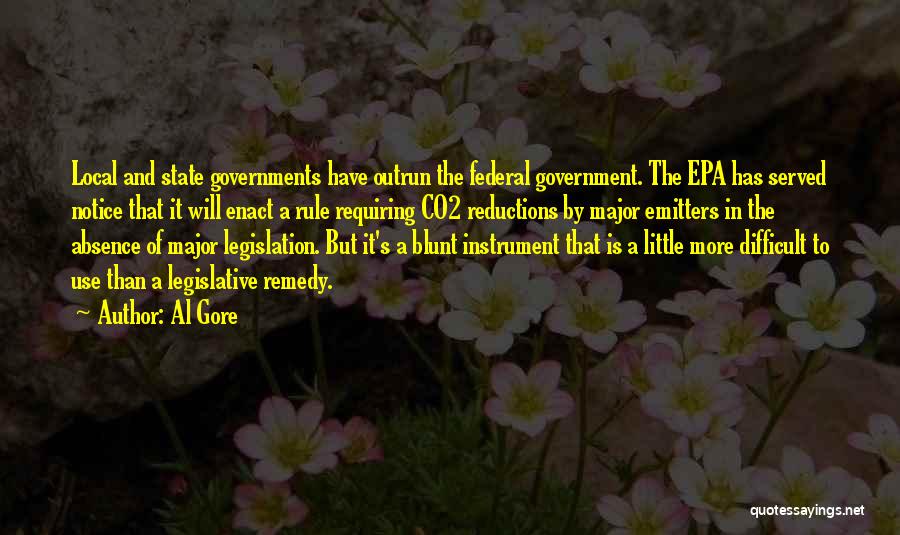 State And Local Government Quotes By Al Gore