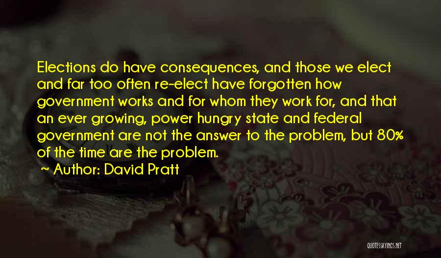 State Government Quotes By David Pratt