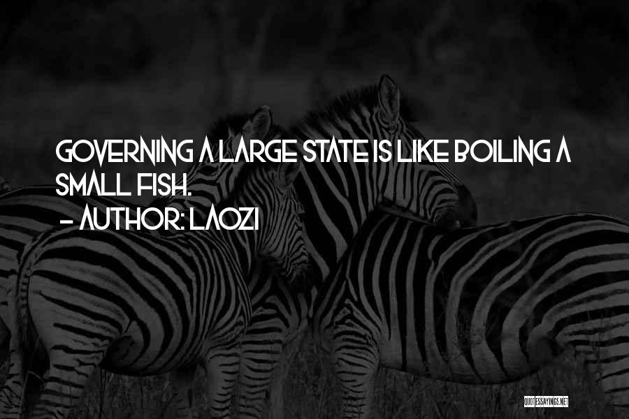 State Government Quotes By Laozi