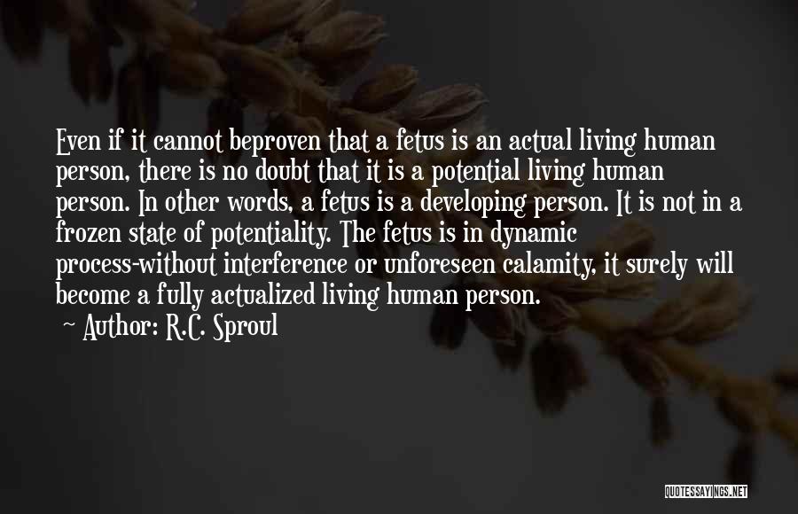 State Of Calamity Quotes By R.C. Sproul
