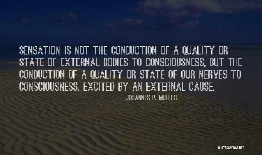 State Of Consciousness Quotes By Johannes P. Muller State Of Consciousness Quotes By Johannes P. Muller