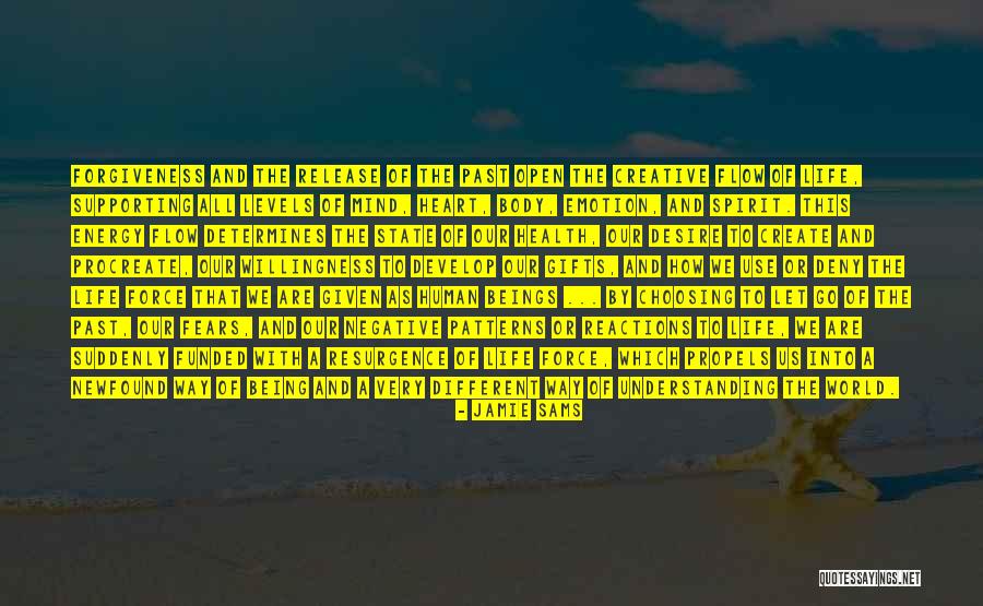 State Of Flow Quotes By Jamie Sams State Of Flow Quotes By Jamie Sams