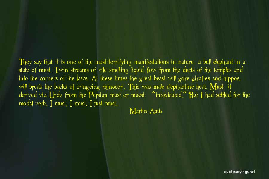 State Of Flow Quotes By Martin Amis State Of Flow Quotes By Martin Amis