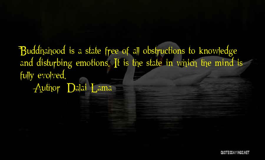 State Of Mind Quotes By Dalai Lama