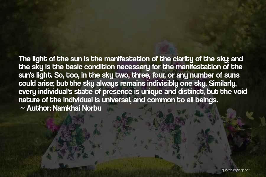 State Of Nirvana Quotes By Namkhai Norbu