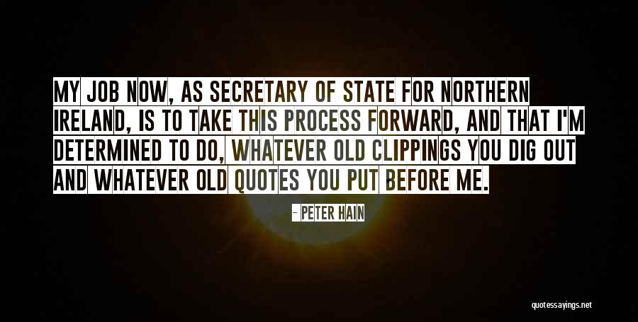 State Quotes Quotes By Peter Hain State Quotes Quotes By Peter Hain