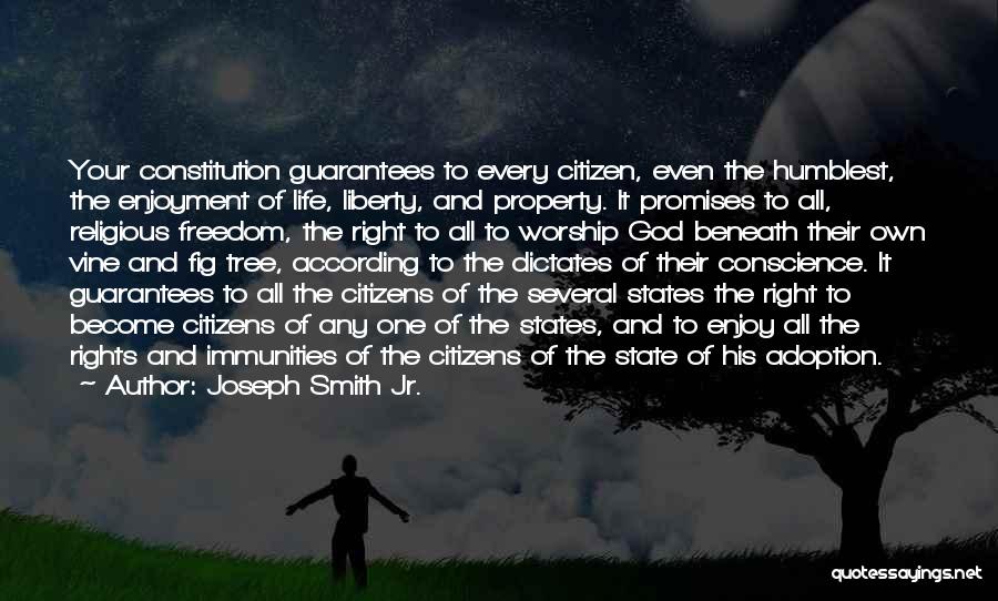 State Rights Quotes By Joseph Smith Jr.