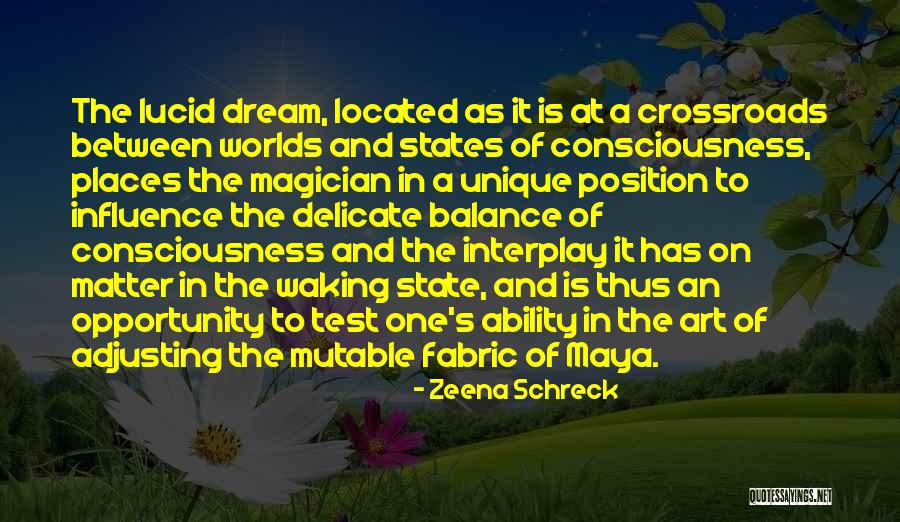 State Test Quotes By Zeena Schreck State Test Quotes By Zeena Schreck
