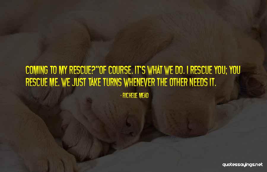 State Tour Quotes By Richelle Mead State Tour Quotes By Richelle Mead