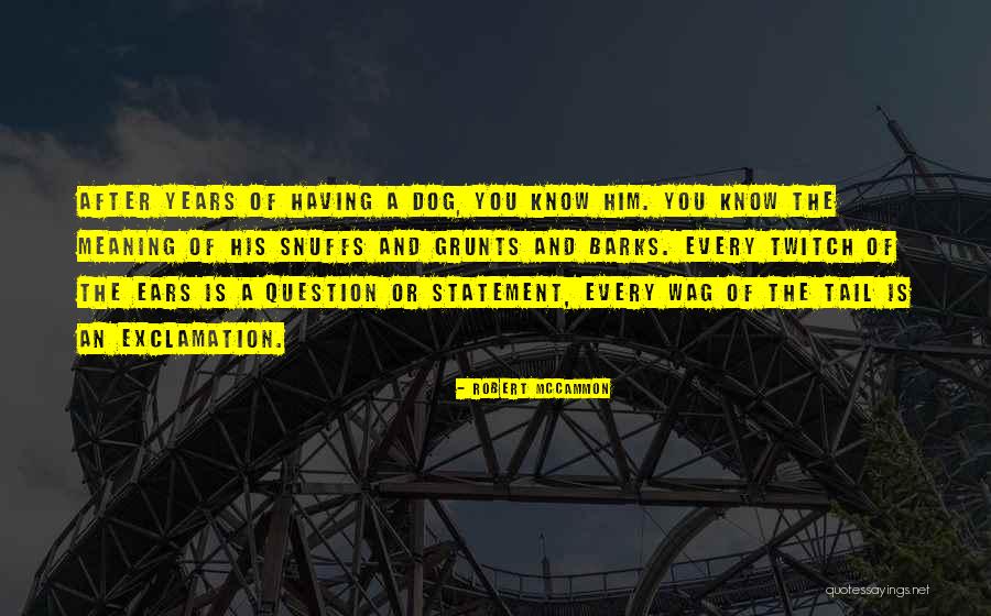 Statement And Question Quotes By Robert McCammon Statement And Question Quotes By Robert McCammon