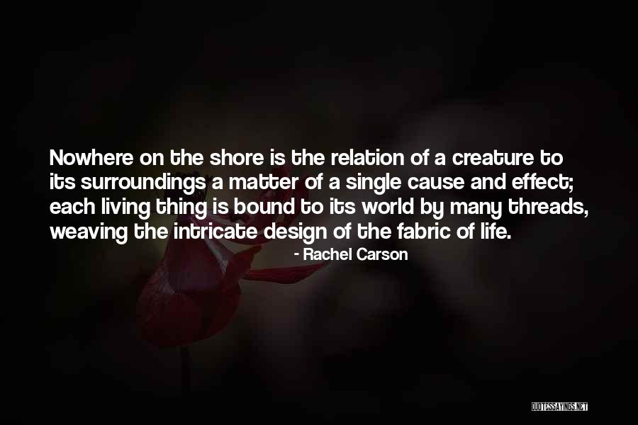 Stateswoman Quotes By Rachel Carson Stateswoman Quotes By Rachel Carson