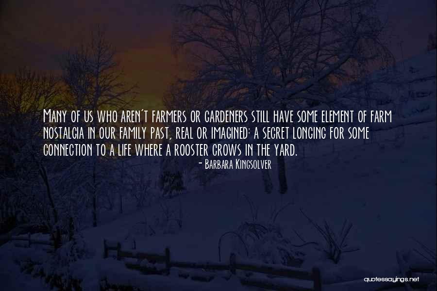 Staticky Stacey Quotes By Barbara Kingsolver Staticky Stacey Quotes By Barbara Kingsolver