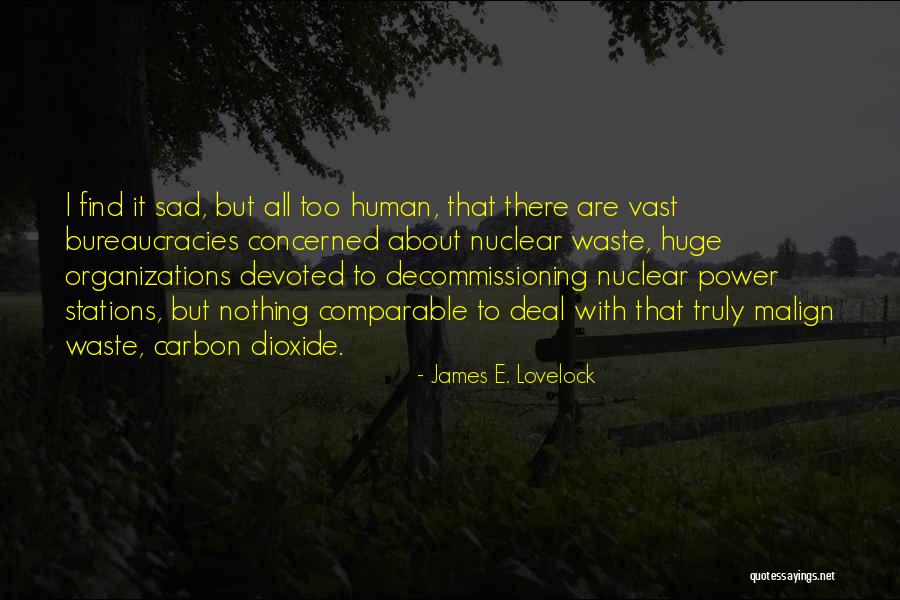 Stations Quotes By James E. Lovelock