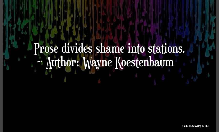 Stations Quotes By Wayne Koestenbaum