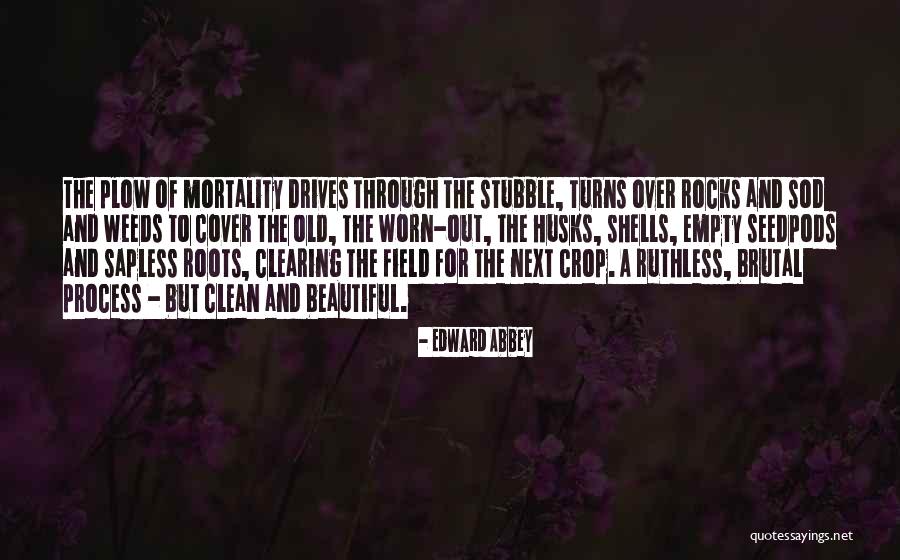 Statu Quotes By Edward Abbey Statu Quotes By Edward Abbey