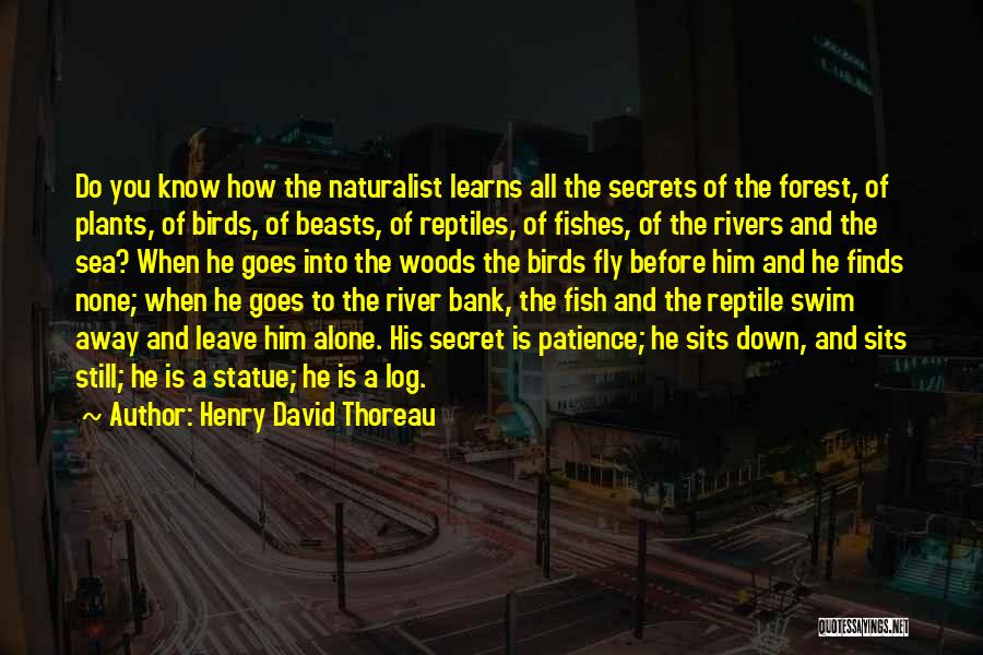 Statue Of David Quotes By Henry David Thoreau