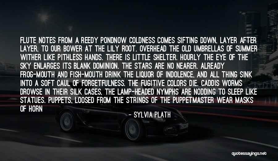 Statues Quotes By Sylvia Plath Statues Quotes By Sylvia Plath