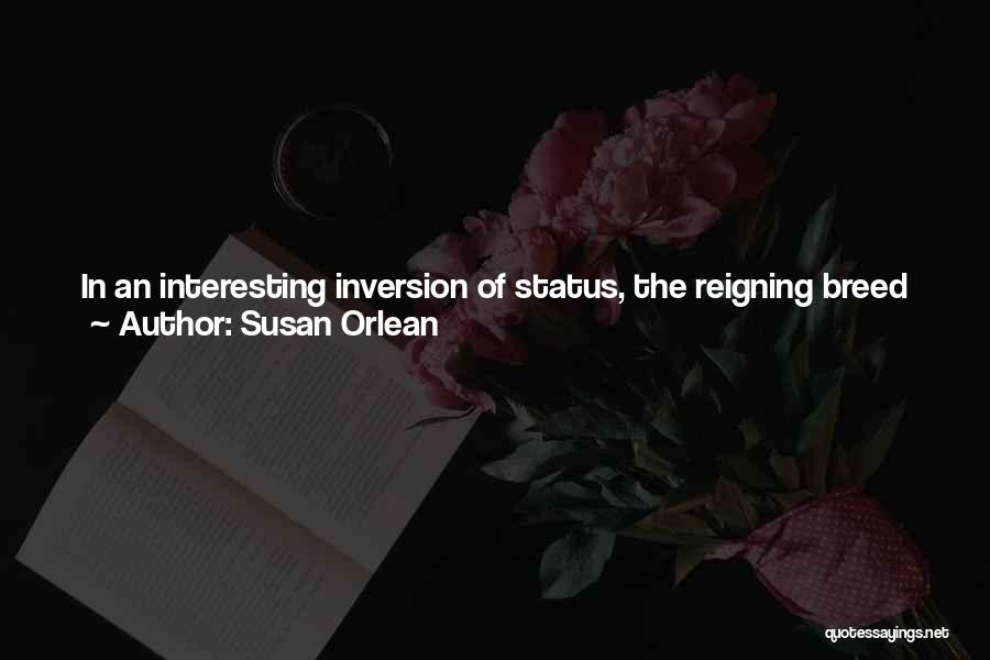 Status In Life Quotes By Susan Orlean