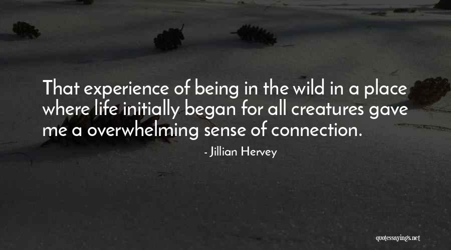 Staurastrum Quotes By Jillian Hervey Staurastrum Quotes By Jillian Hervey