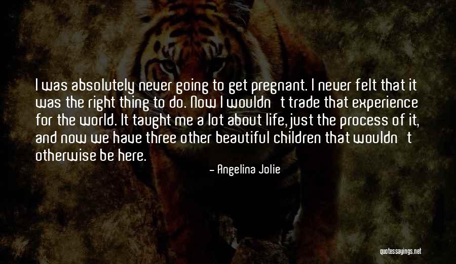 Stavale Tailor Quotes By Angelina Jolie Stavale Tailor Quotes By Angelina Jolie