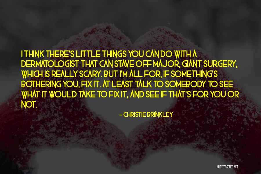 Stave 5 Quotes By Christie Brinkley