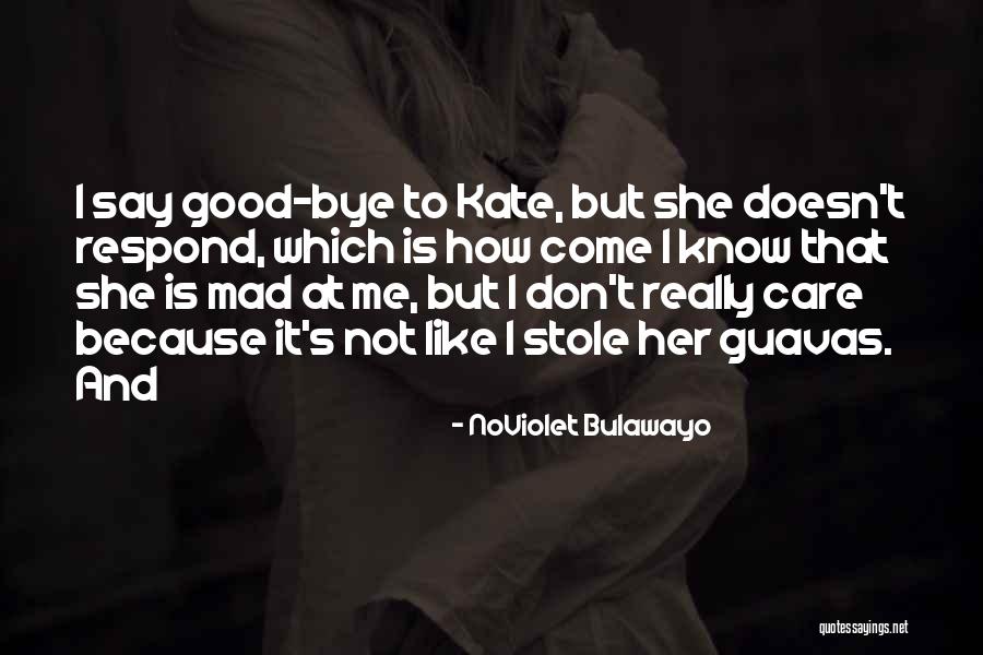 Stavlampas Quotes By NoViolet Bulawayo Stavlampas Quotes By NoViolet Bulawayo