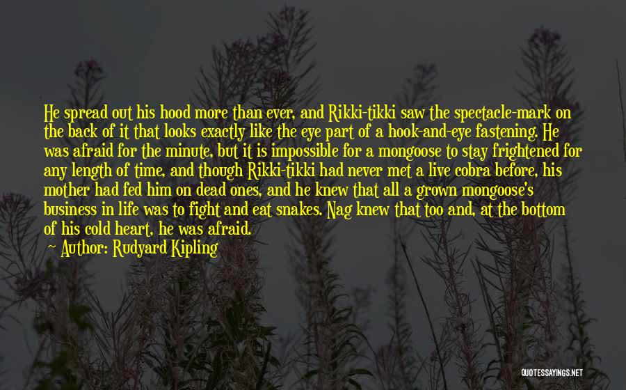 Stay And Fight Quotes By Rudyard Kipling